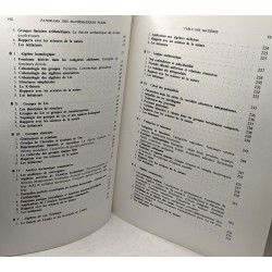 Panorama des mathématiques pures. le choix bourbachique