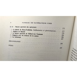 Panorama des mathématiques pures. le choix bourbachique